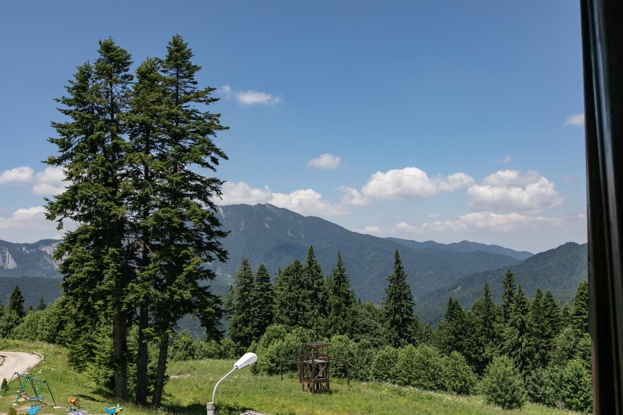 Гостевой дом No 107 Predeal Предял-12